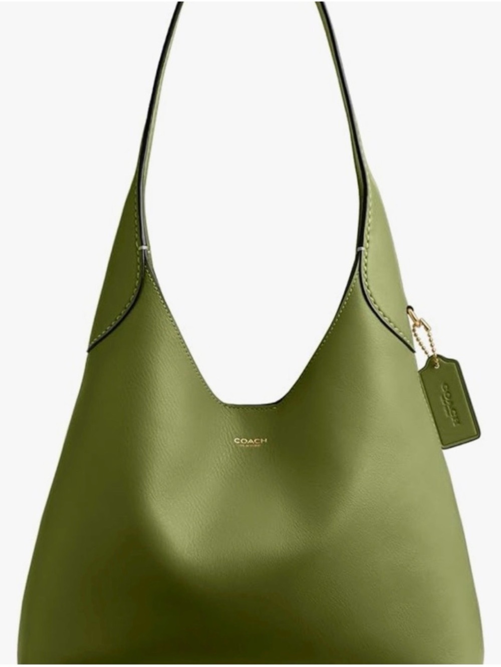ISO!!!! Coach Dark Lime Brooklyn 28